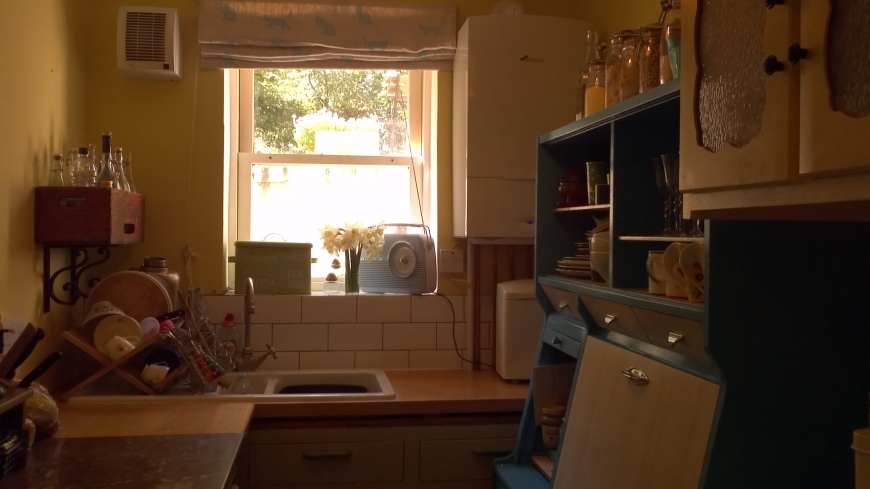 50s secondhand kitchen put together by Chris